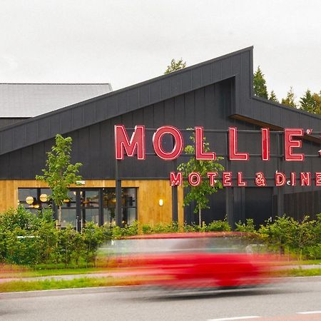 Mollie'S Motel & Diner Bristol Filton Exterior foto